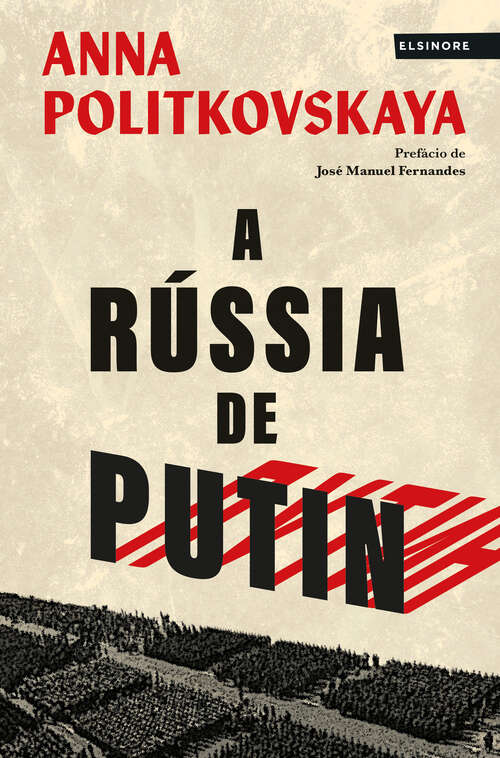 Book cover of A Rússia de Putin