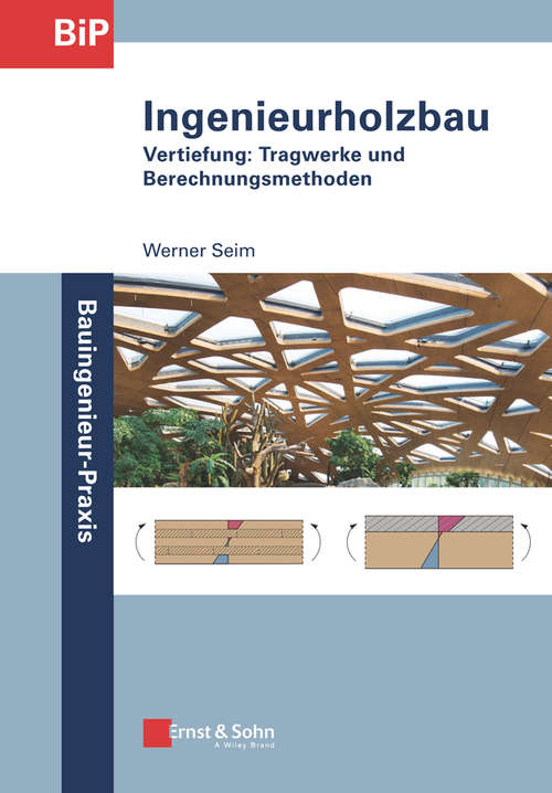 Ingenieurholzbau: Vertiefung: Tragwerke und Berechnungsmethoden (Bauingenieur-Praxis)