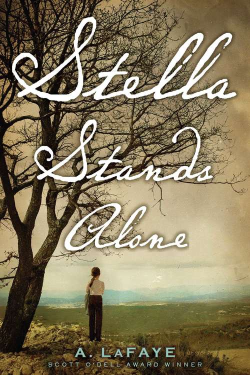 Book cover of Stella Stands Alone