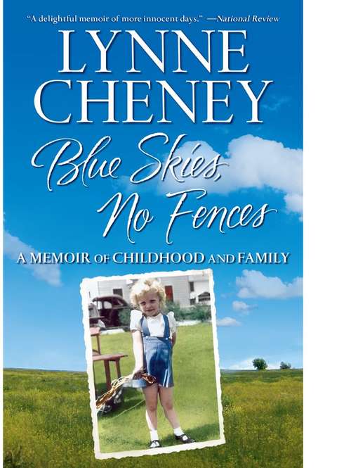 Book cover of Blue Skies, No Fences
