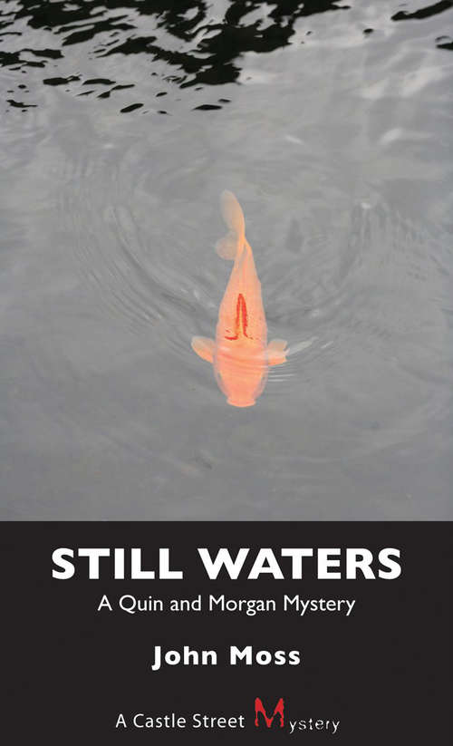 Still Waters: A Quin and Morgan Mystery
