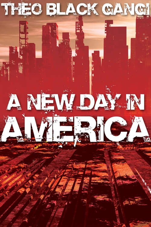 Book cover of A New Day in America