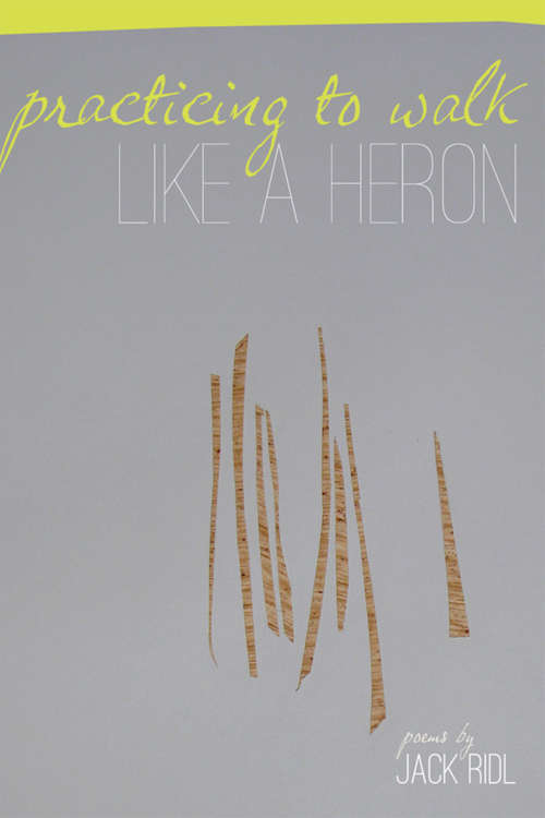 Book cover of Practicing to Walk Like a Heron