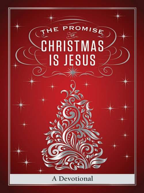 The Promise of Christmas is Jesus