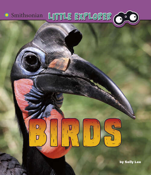 Birds: A 4d Book (Little Zoologist Ser.)