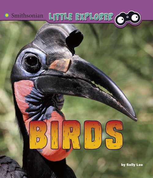 Book cover of Birds: A 4d Book (Little Zoologist Ser.)
