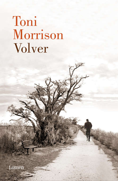 Book cover of Volver