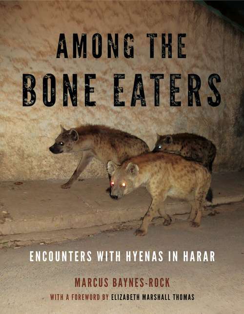 Among the Bone Eaters: Encounters with Hyenas in Harar (Animalibus: Of Animals and Cultures #8)