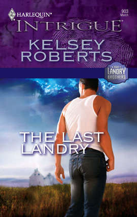Book cover of The Last Landry