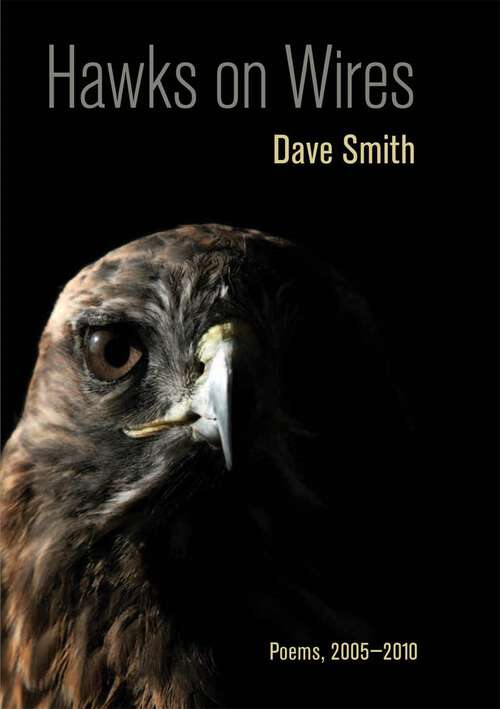 Book cover of Hawks on Wires: Poems, 2005-2010