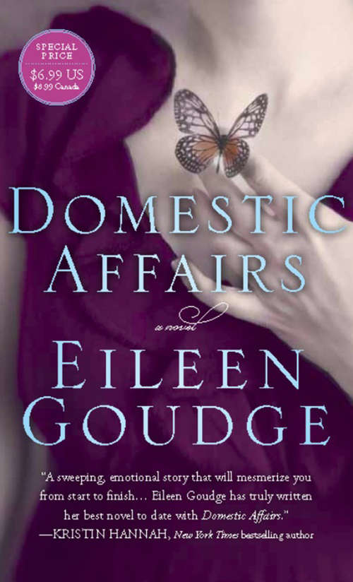 Book cover of Domestic Affairs