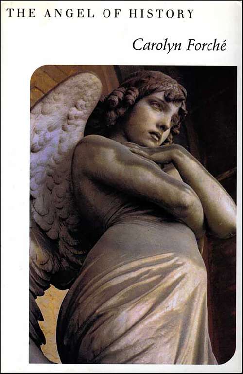 Book cover of The Angel of History