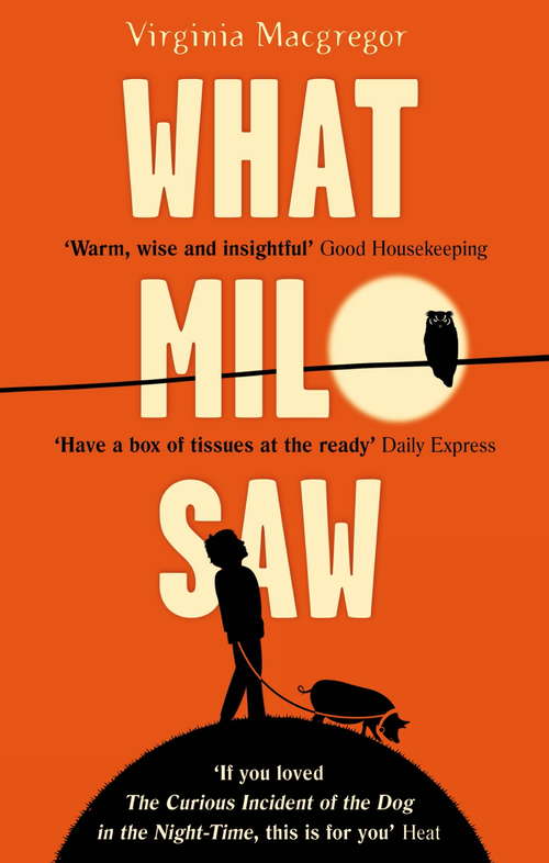 Book cover of What Milo Saw: He sees the world in a very special way . . .
