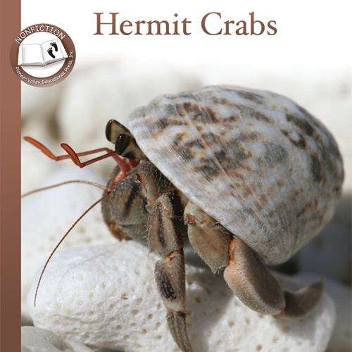 Book cover of Hermit Crabs