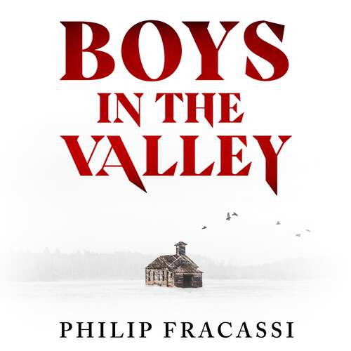 Book cover of Boys in the Valley