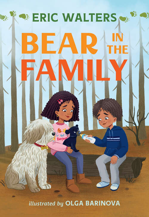 Book cover of Bear in the Family (Orca Echoes)