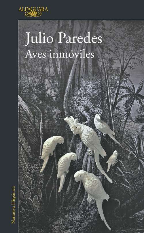 Book cover of Aves inmóviles