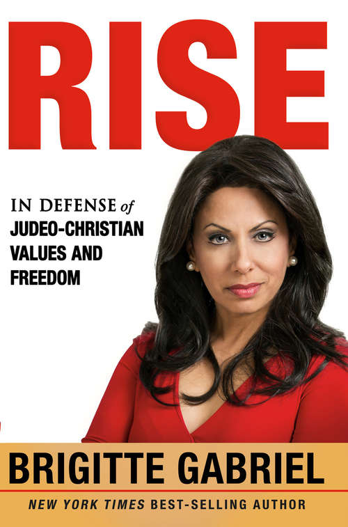 Book cover of Rise: In Defense of Judeo-Christian Values and Freedom