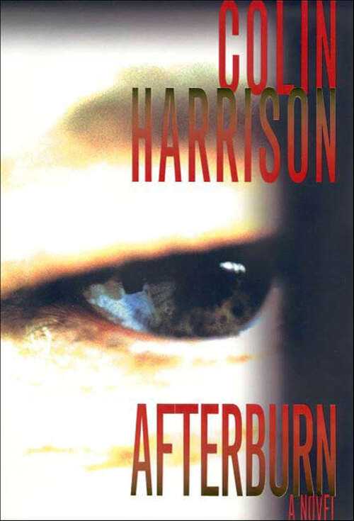 Book cover of Afterburn: A Novel