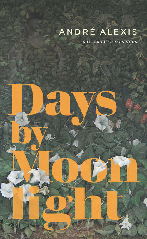 Book cover of Days by Moonlight