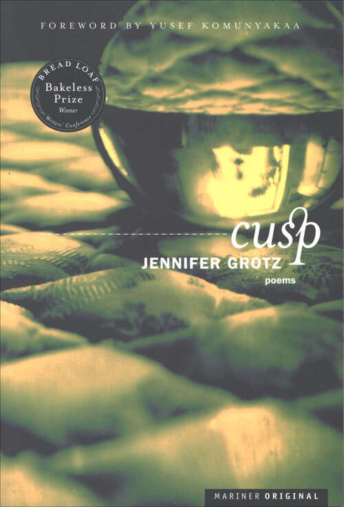 Book cover of Cusp