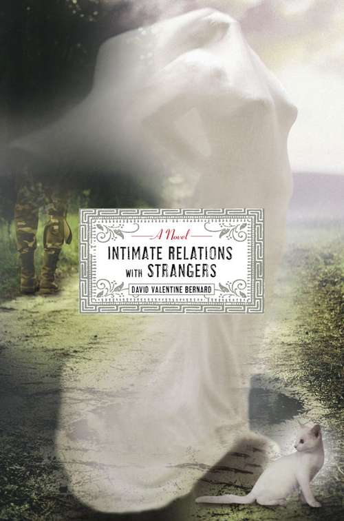 Book cover of Intimate Relations with Strangers