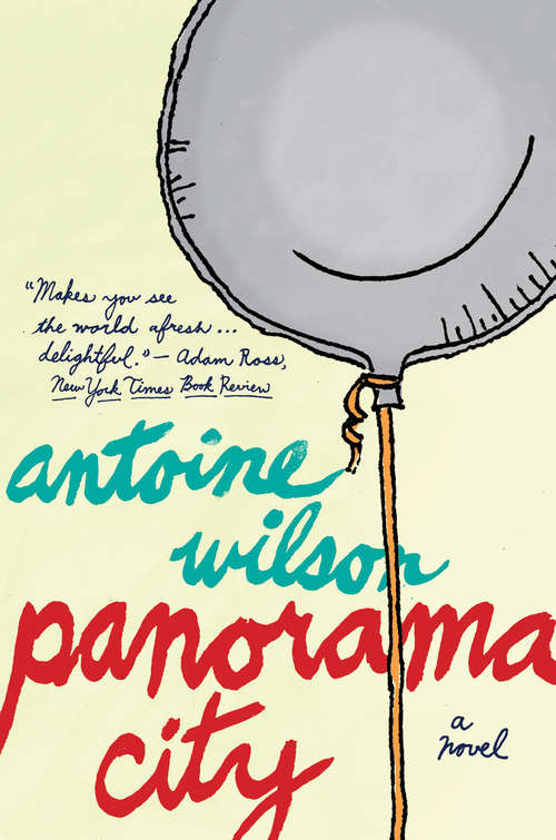 Book cover of Panorama City: A Novel