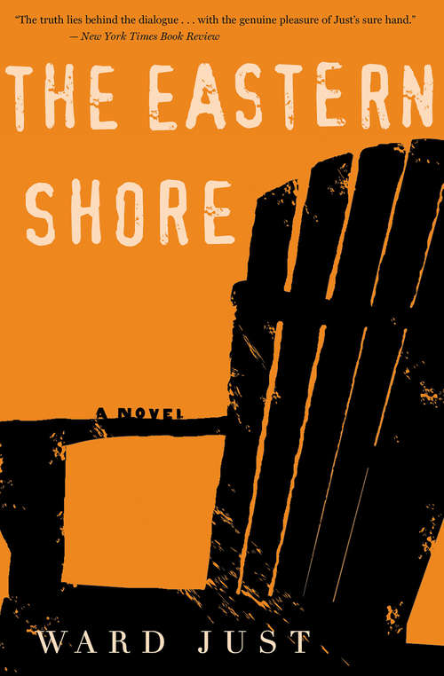 Book cover of The Eastern Shore: A Novel