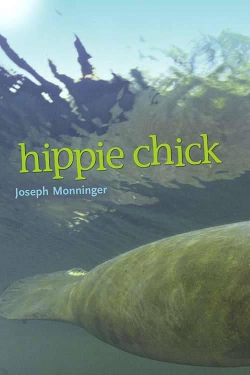 Book cover of Hippie Chick