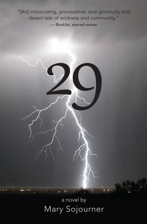 Book cover of 29