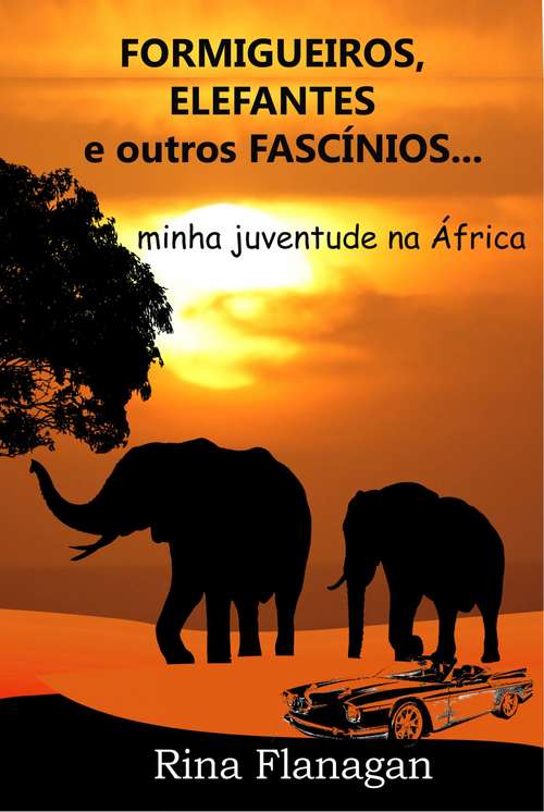 Formigueiros, Elefantes e outros Fascínios... minha juventude na África