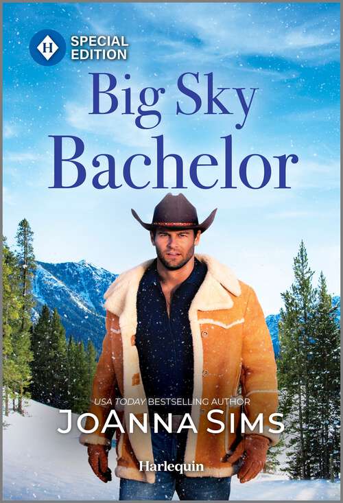 Book cover of Big Sky Bachelor (Original) (The Brands of Montana)