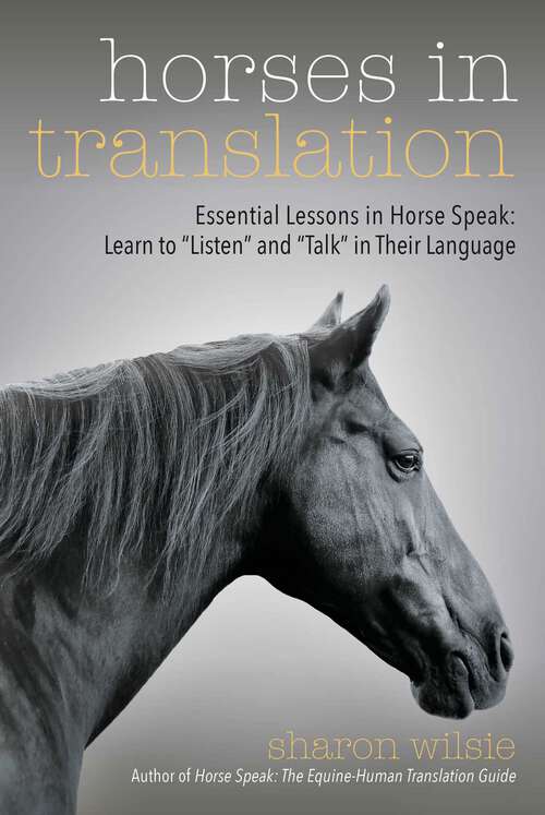 Book cover of Horses in Translation