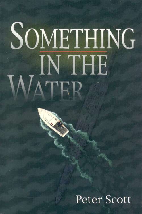 Book cover of Something in the Water