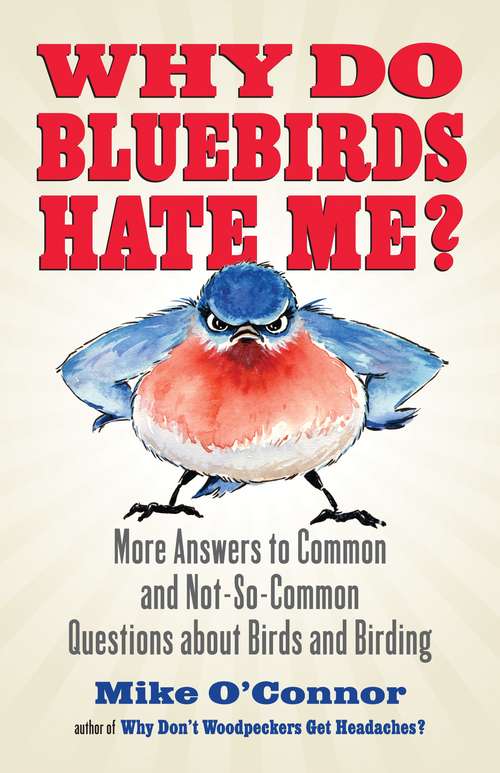 Book cover of Why Do Bluebirds Hate Me?