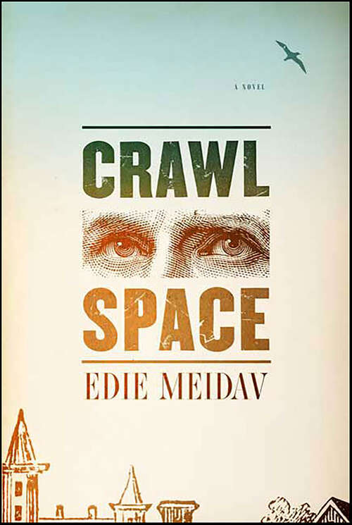 Book cover of Crawl Space: A Novel