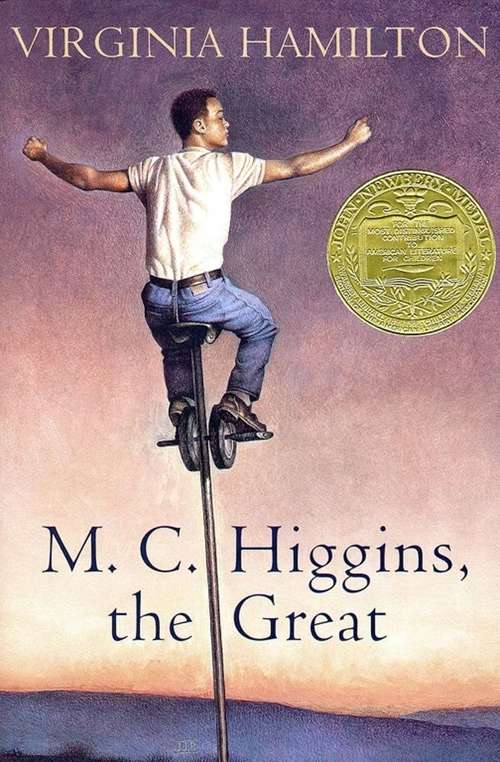 Book cover of M.C. Higgins, The Great