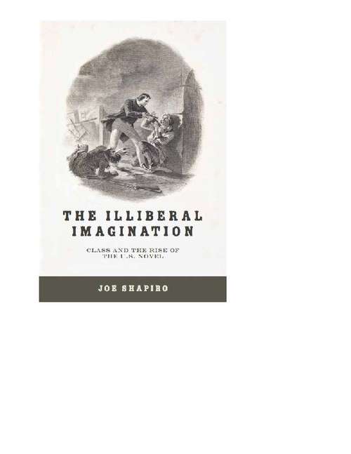 The Illiberal Imagination: Class and the Rise of the U.S. Novel