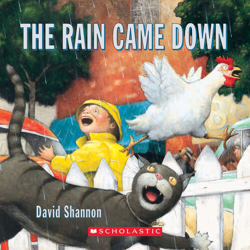 Book cover of The Rain Came Down
