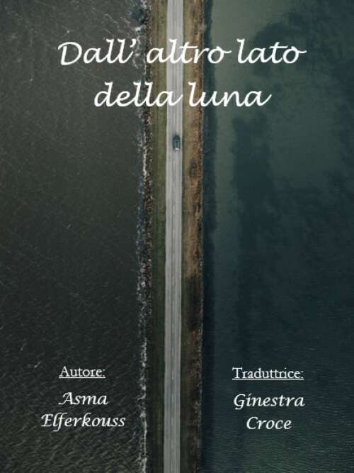 Book cover of Dall' altro lato della luna