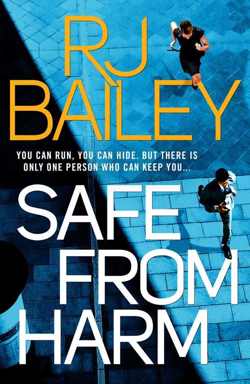 Book cover of Safe From Harm