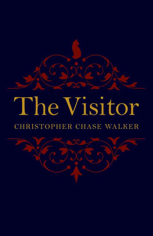 Book cover of The Visitor