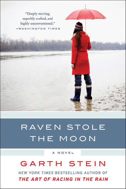 Book cover of Raven Stole the Moon: A Novel