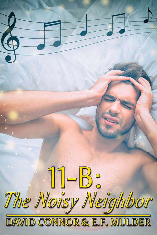 Book cover of 11-B: The Noisy Neighbor