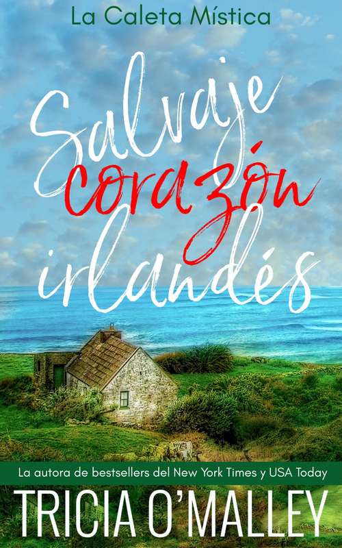 Book cover of Salvaje corazón irlandés (La caleta mística #1)