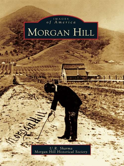 Book cover of Morgan Hill