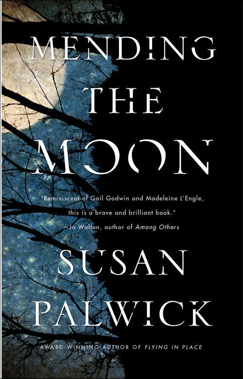 Book cover of Mending the Moon