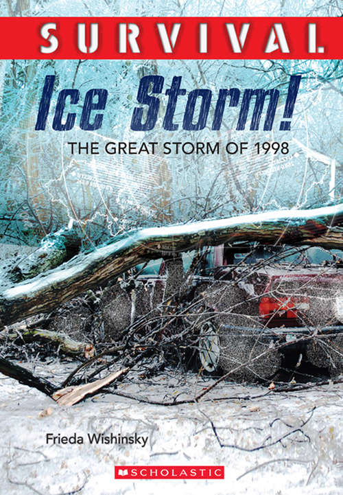 Book cover of Survival: Ice Storm! (Survival)