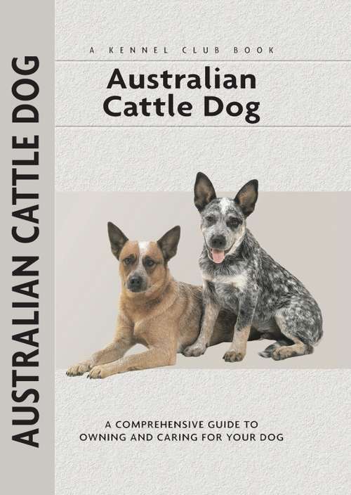 Book cover of Australian Cattle Dog