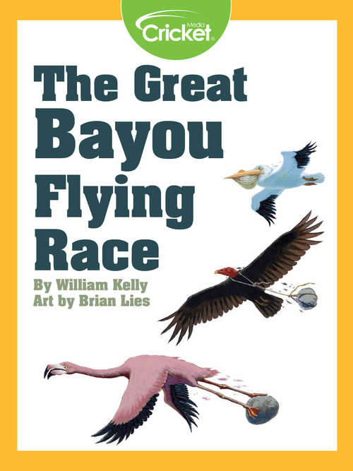 Book cover of The Great Bayou Flying Race